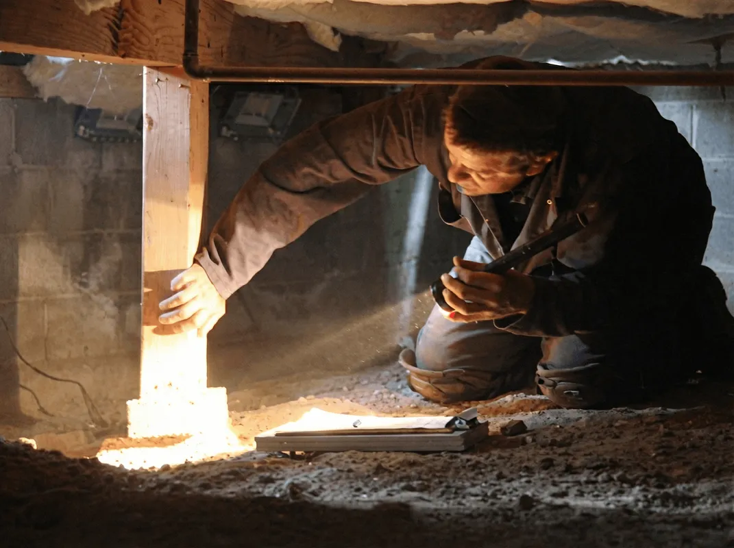 A professional inspecting wooden beams under the floor of a structure in Boca Raton, FL